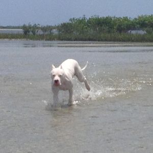 Meet your Posher, Brad